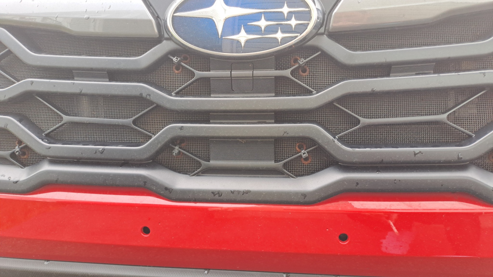4x Mazda Kennzeichenrahmen Schrauben Kappen – Edelstahl + Schwarzes Emblem