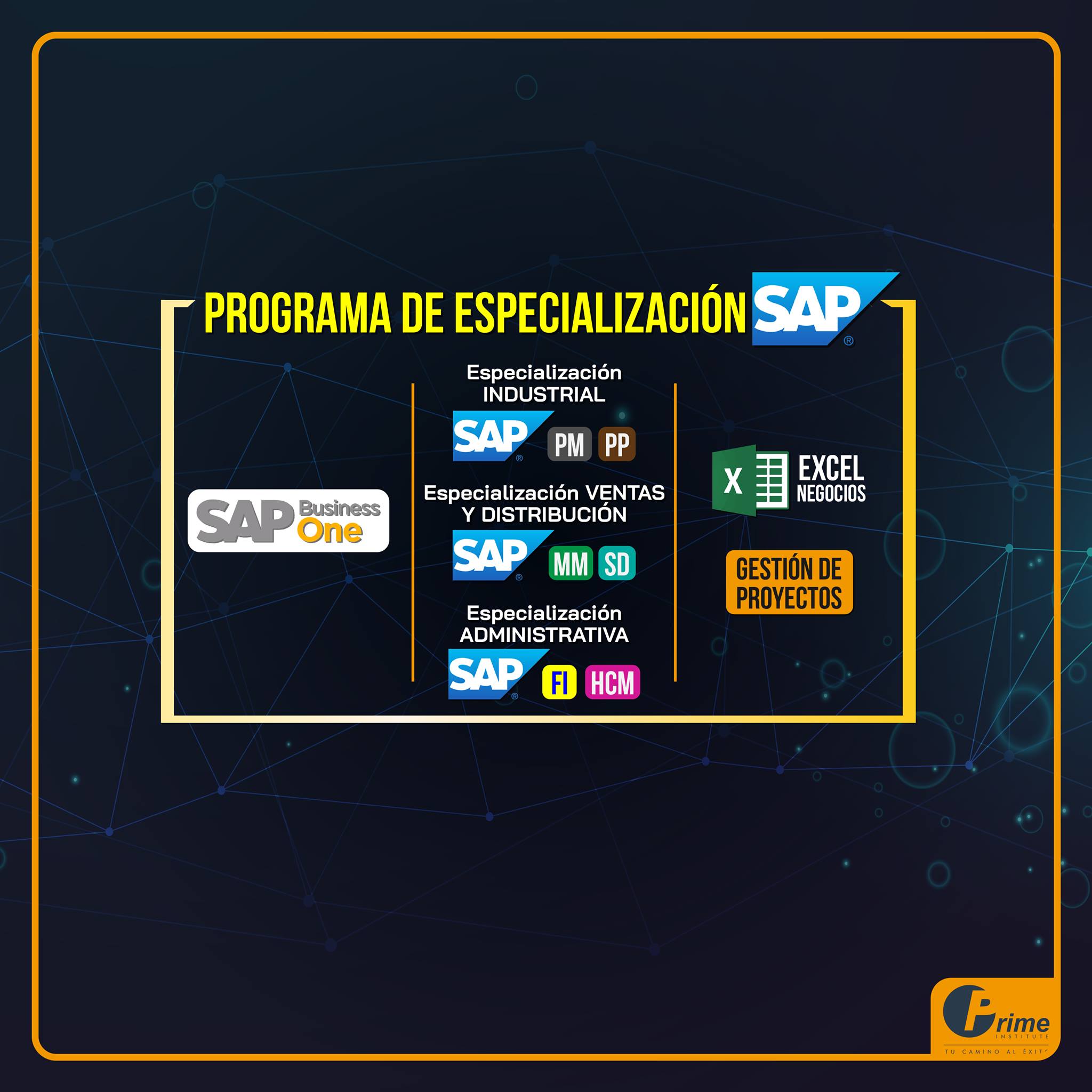 Prime Institute - 🚨Programa de Especialización SAP🚨 5...