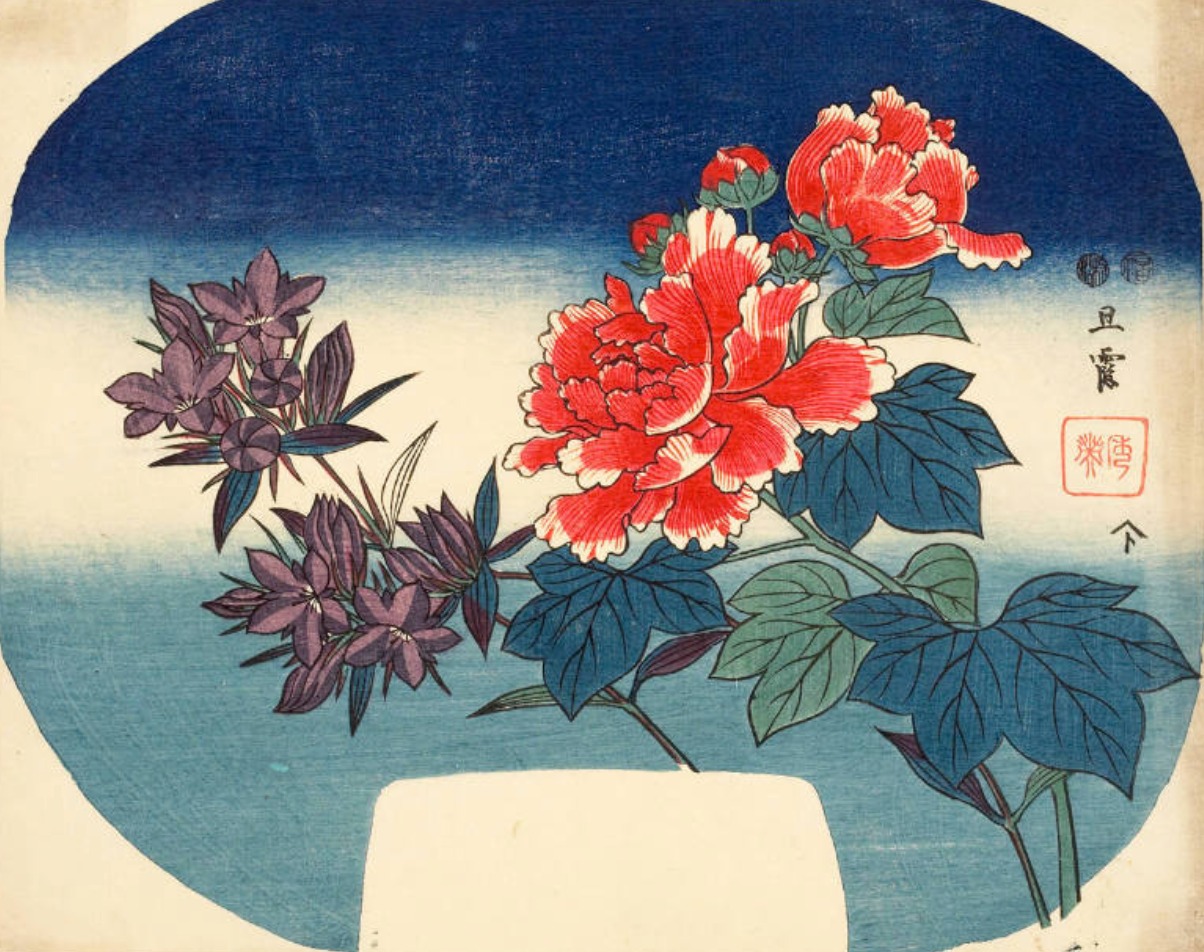 Peonies