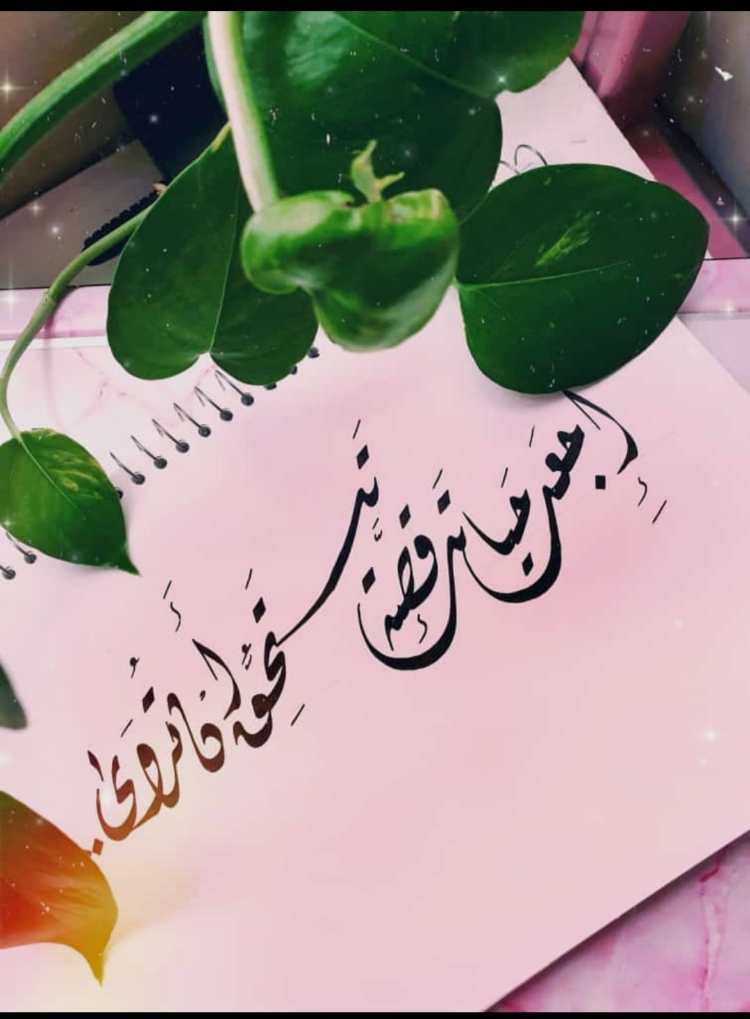 الحكمة ضالة المؤمن Posts Facebook