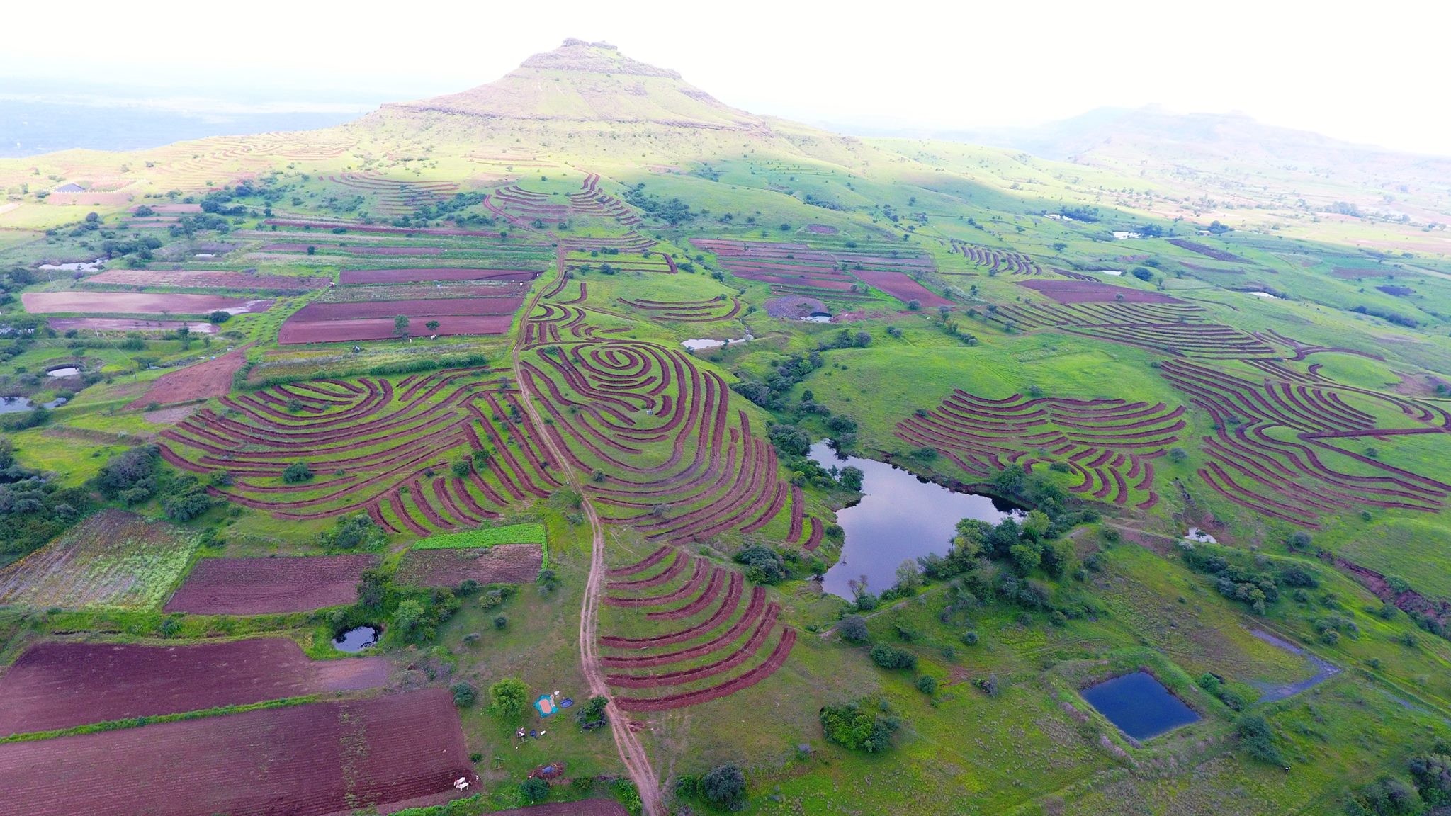 Action for Agricultural Renewal in Maharashtra - AFARM | Pune