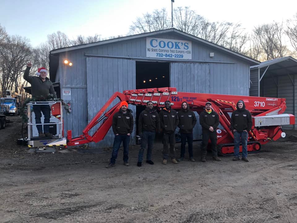 Cooks Tree Service inc. | Lincroft NJ