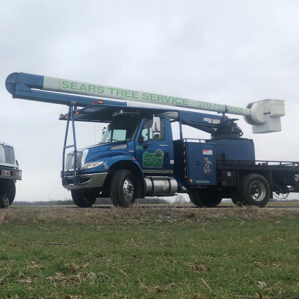 Sears Tree Service, LLC | Lewisburg KY