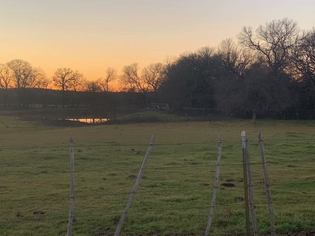 Lisa Rivard - Independent Realty | Fort Worth TX