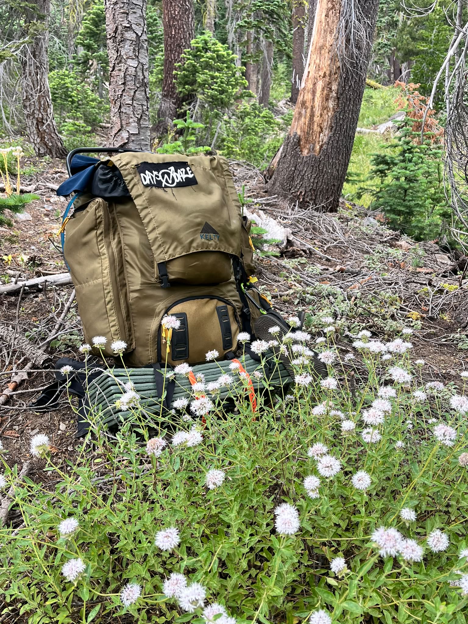 kelty anniversary backpack Glendale 65L W SuperGruppo_Bags_Shoes_Woman Osprey Poco LT Child Color:Asphalt Grey Light Heather/TNF Black classic lines with upgrades