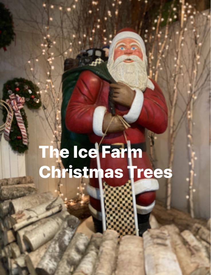 Fresh cut trees every year. Nothing beats the joy of the holidays. ️🎄 ...