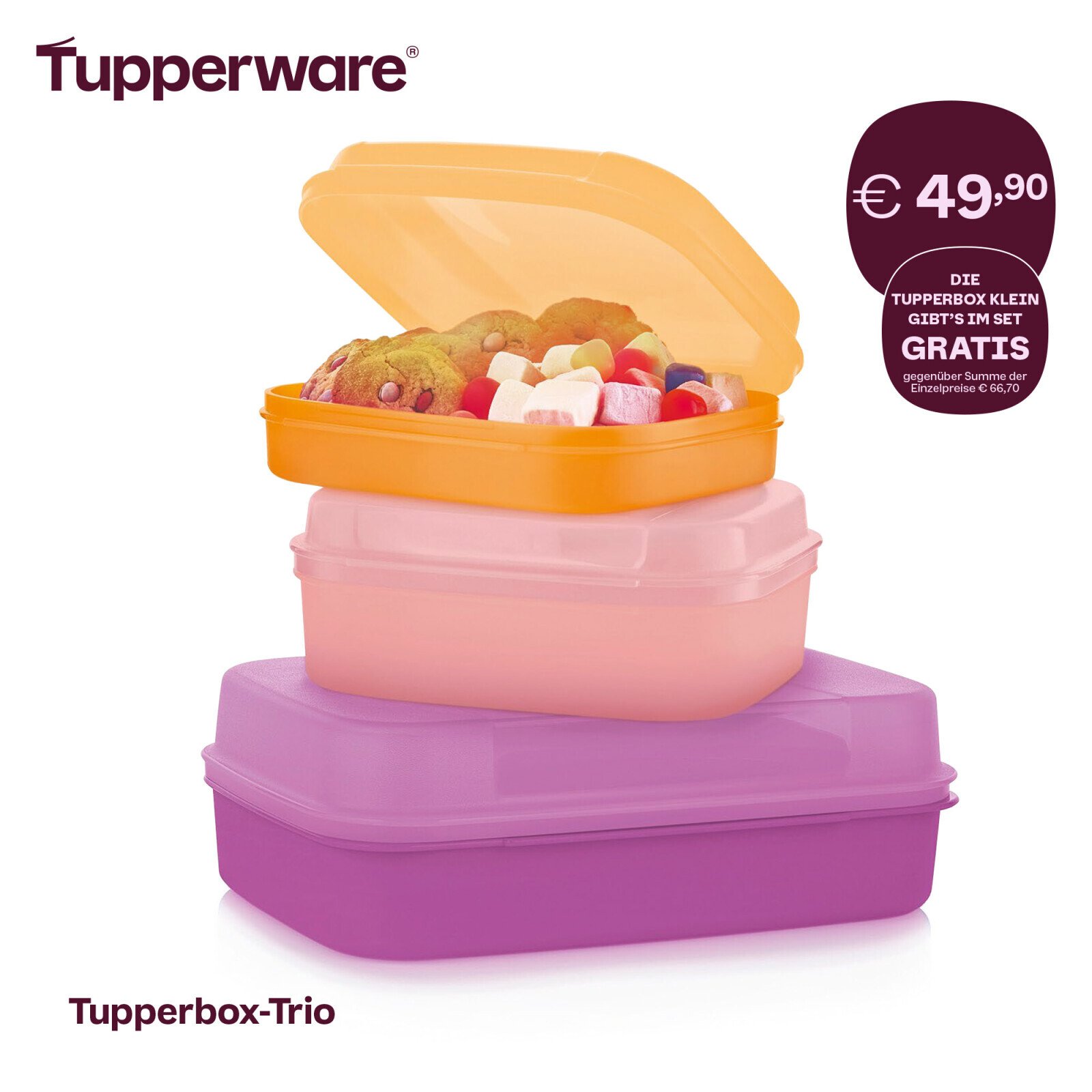 ENDLICH unsere Tupperboxen in verschiedenen Größen sind wieder da