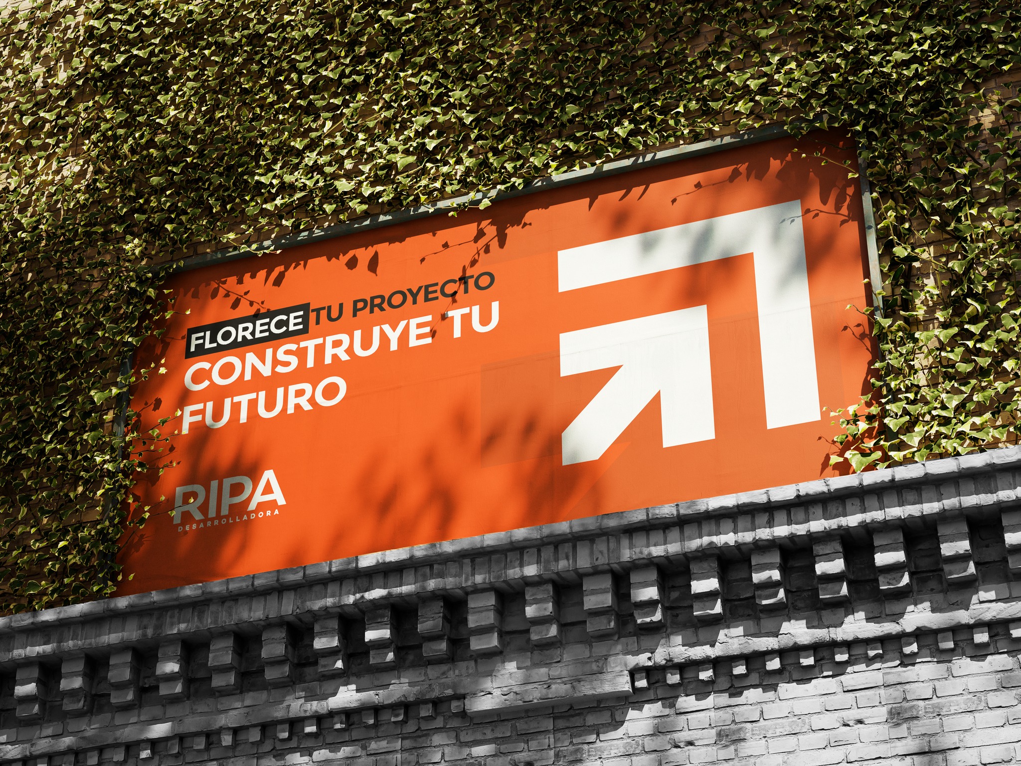 Ripa - 🌸 ¡La primavera ha llegado con todo su esplendor a Ripa! 🏡 ...