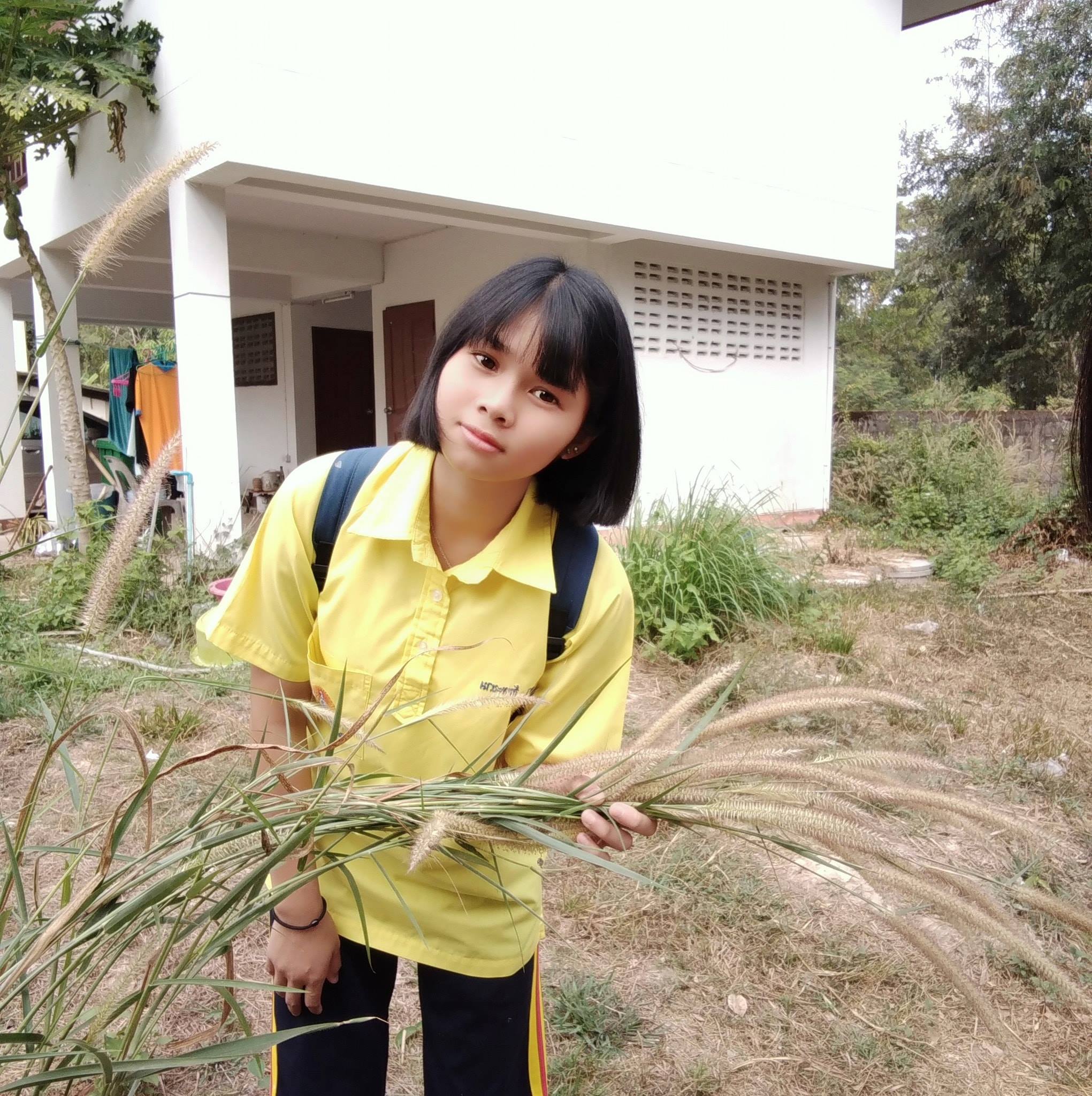 เน เน่