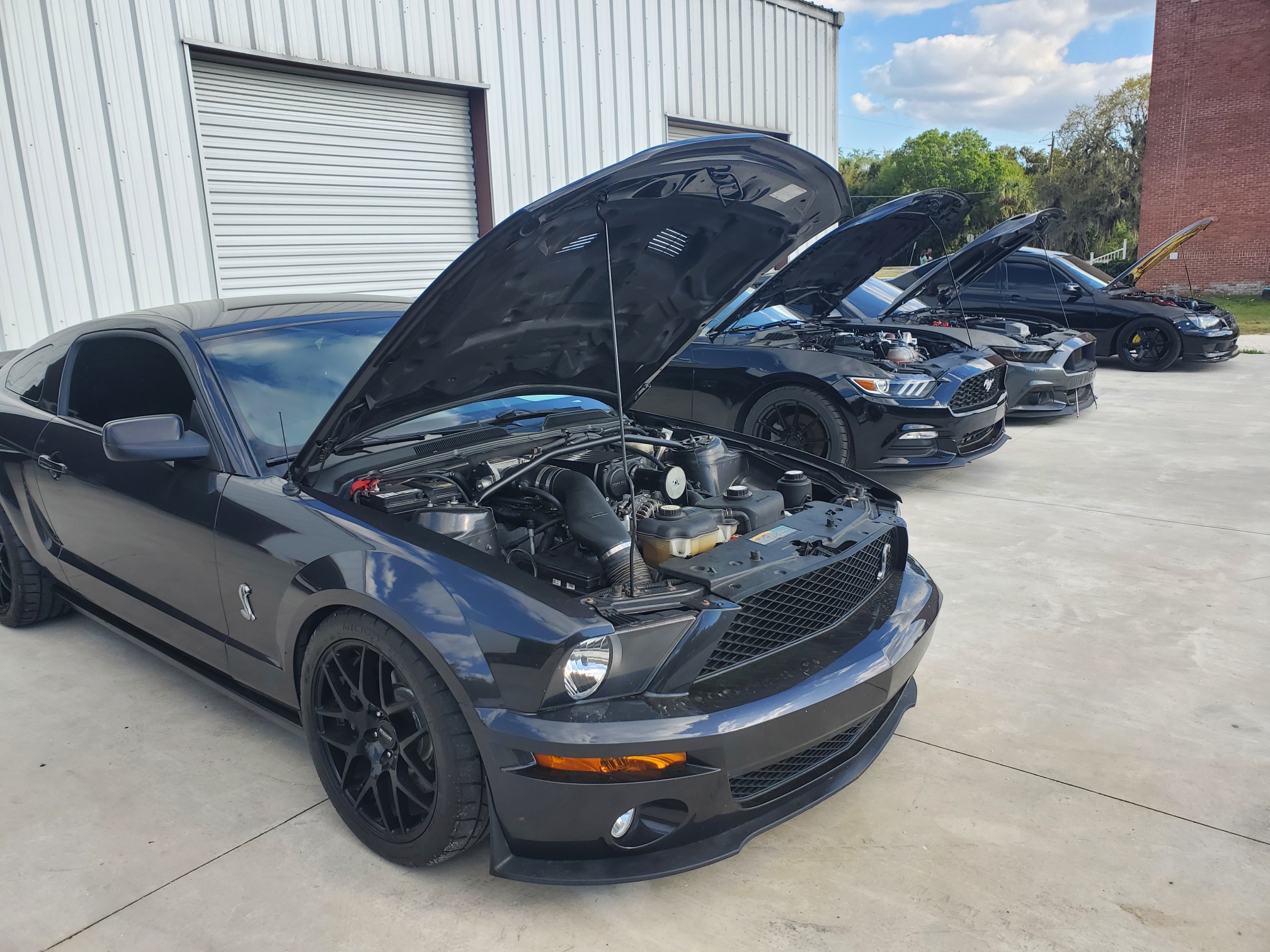 Its like a car show at the shop... - Auto Mafia Racing
