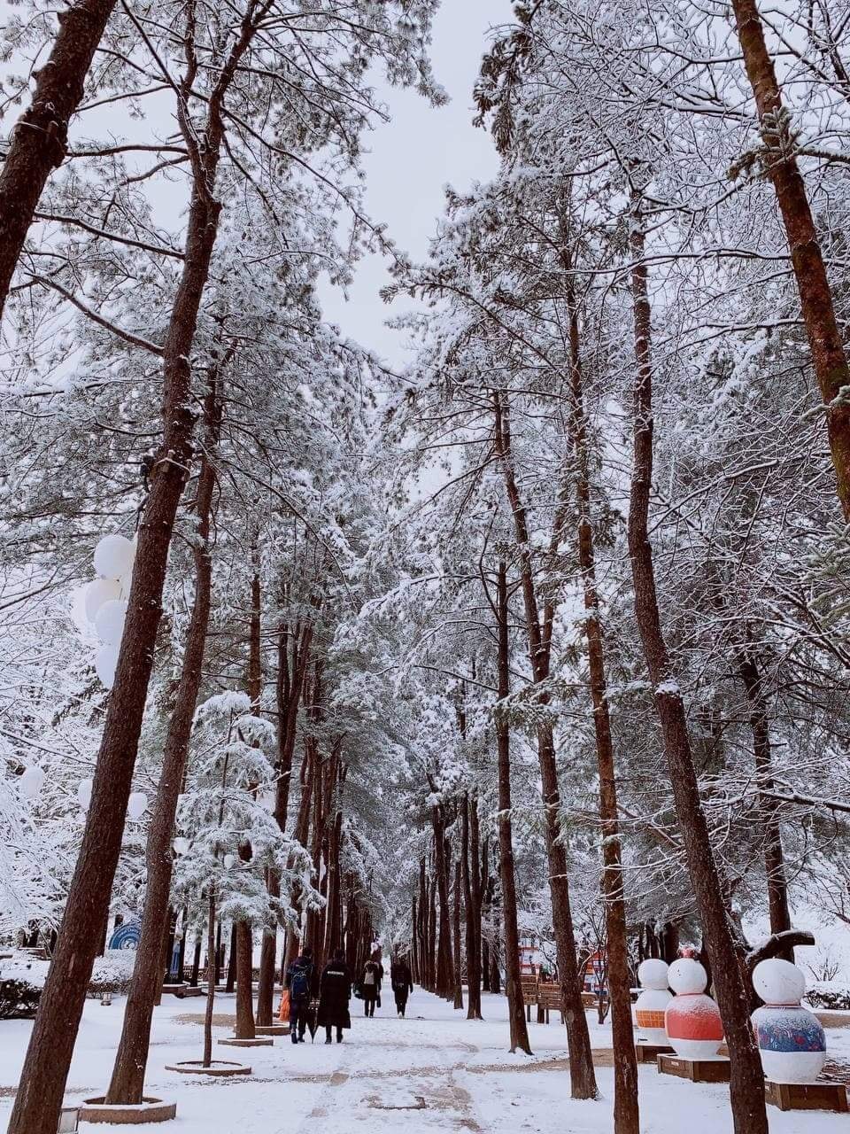 Salji Di Nami Island Seperti Halal Travel Friend Facebook