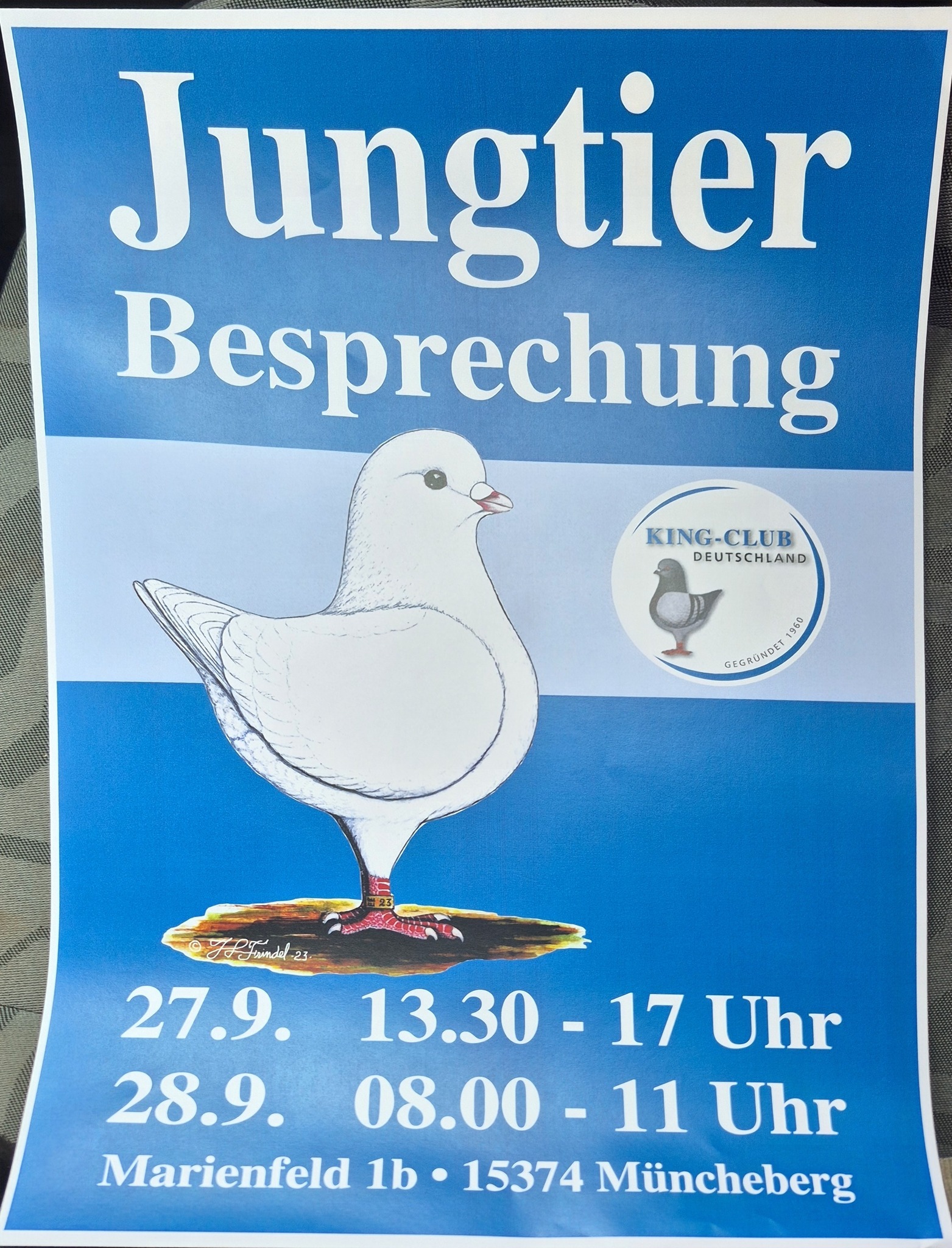 jungtierbesprechung des king Club Deutschland