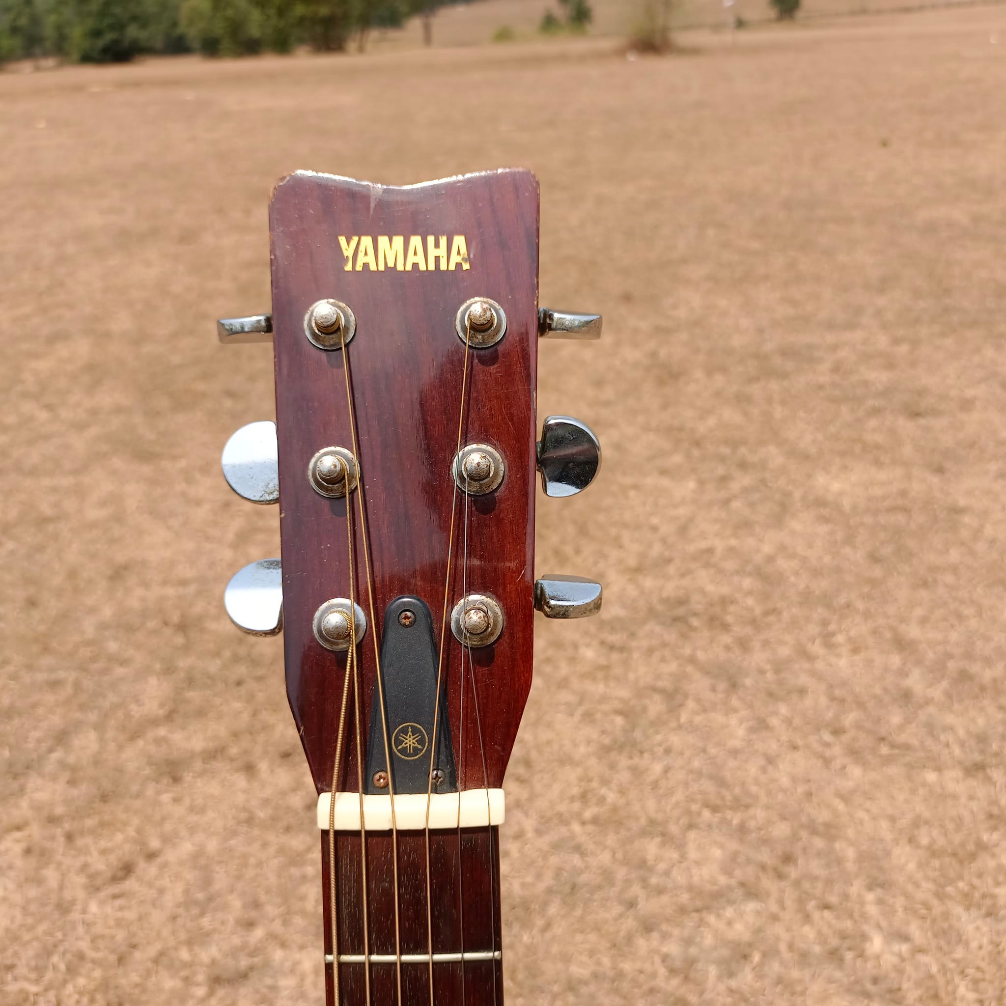 Yamaha FG252 vintage guitar details