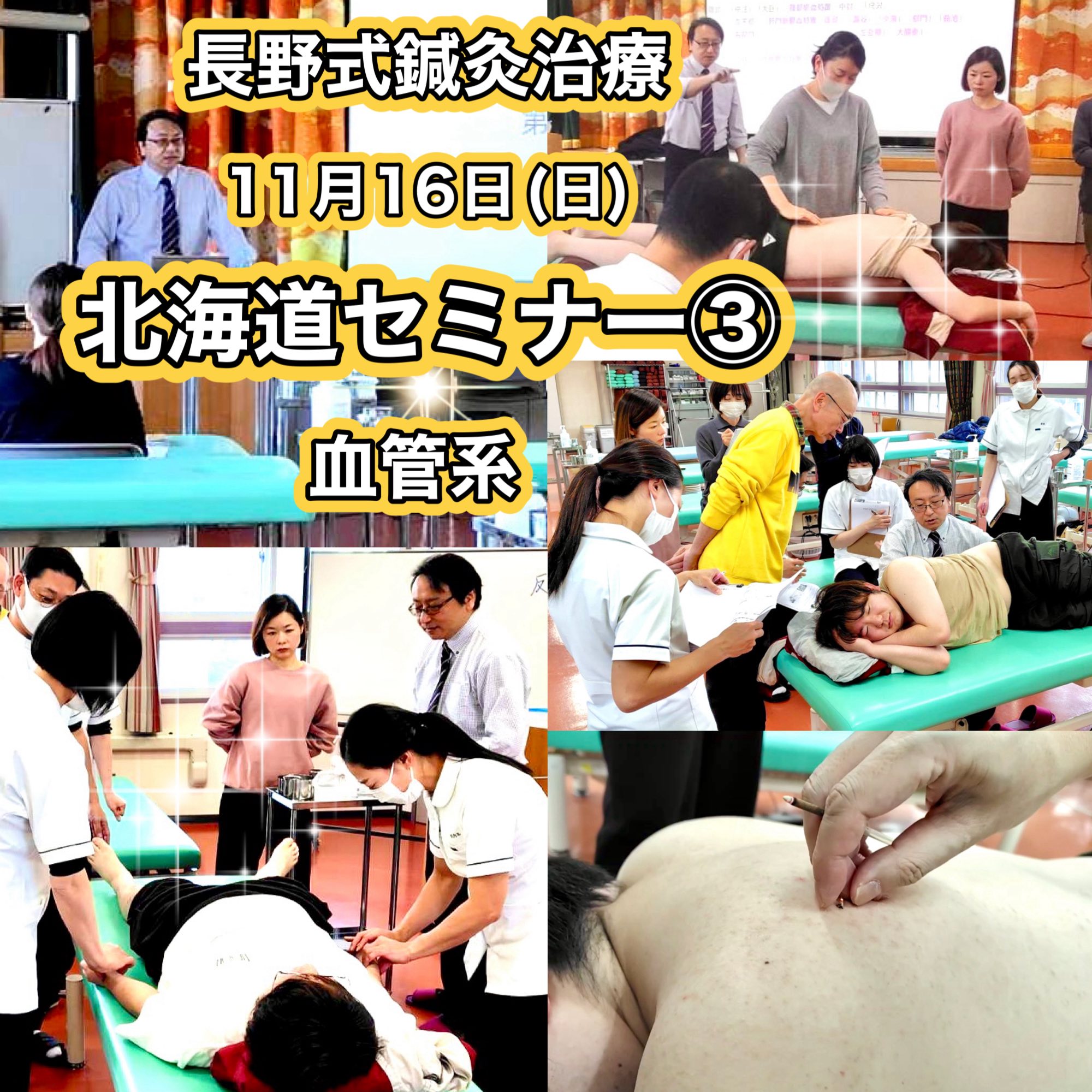 東京・長野式鍼灸基礎・実技セミナー 2024/5/26第1回 長野式診断法