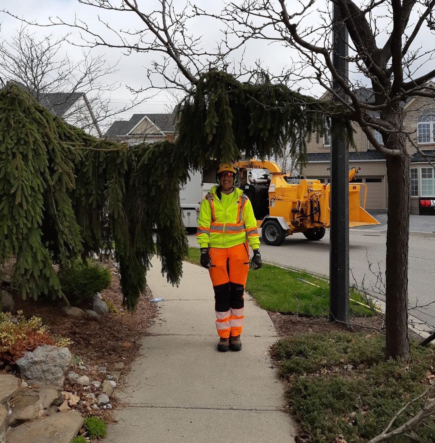 Happy #Friday everyone! You’ll... - Maple Hill Tree Services