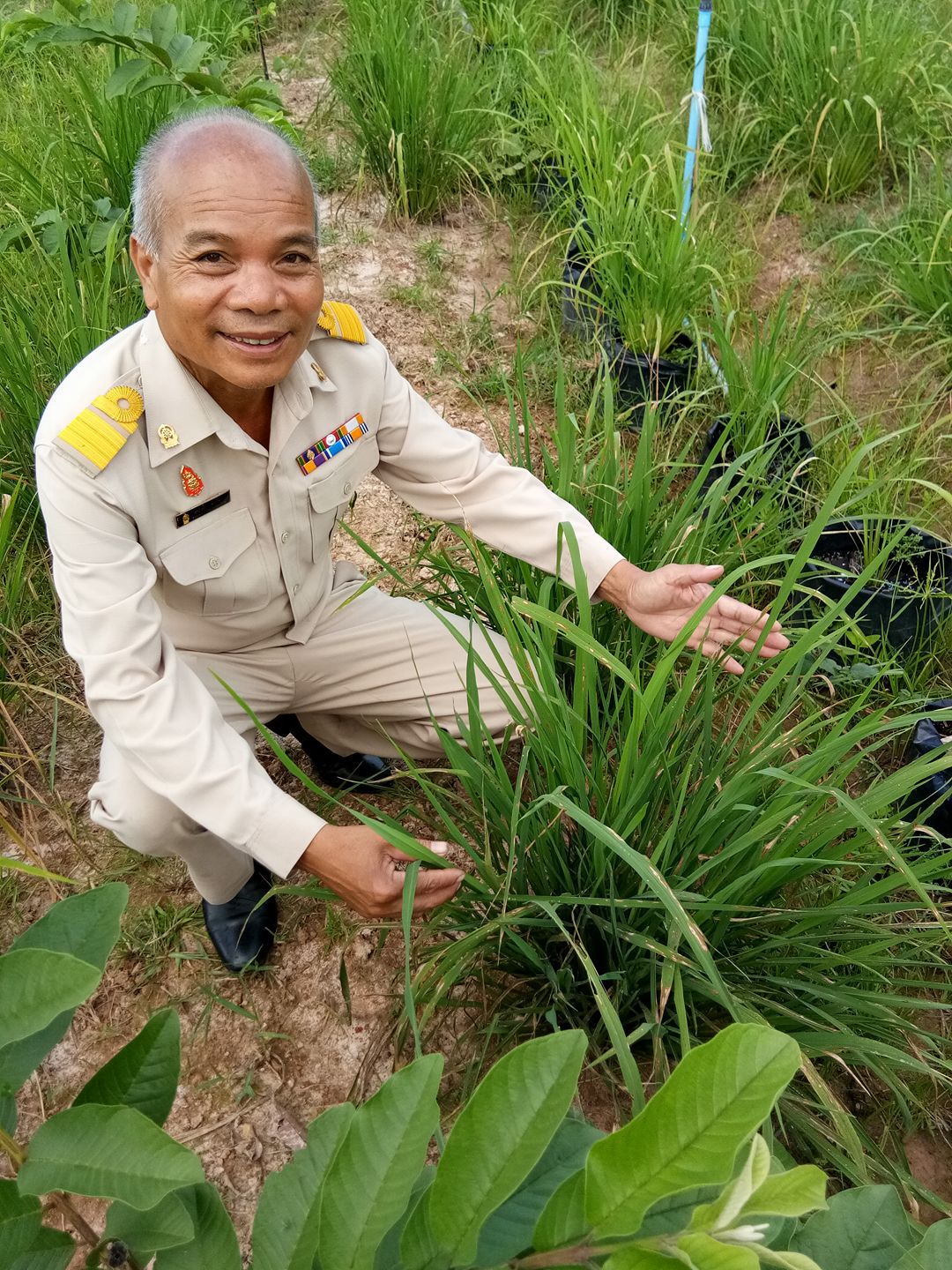 ปฎิวัติ จันทจร