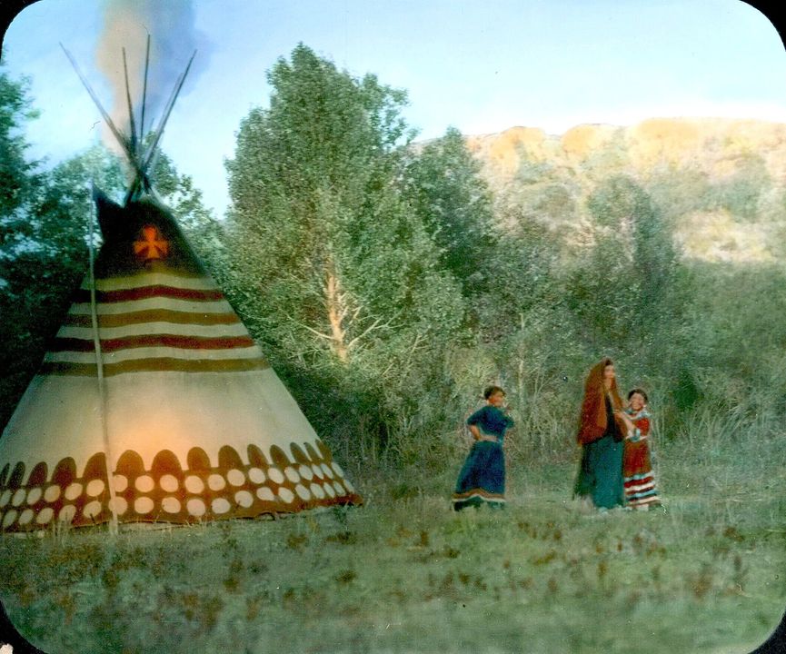 Thihon Nguyen - Rắn râu nhé cả nhà mình con nầy nó cắn chỉ... | Facebook