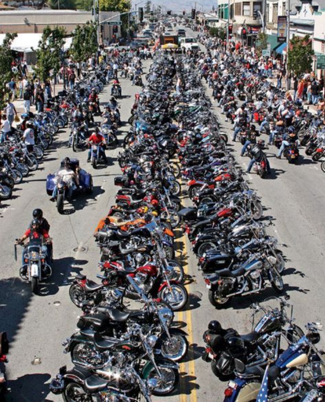 Paradise Riders of Florida | Sarasota Springs FL