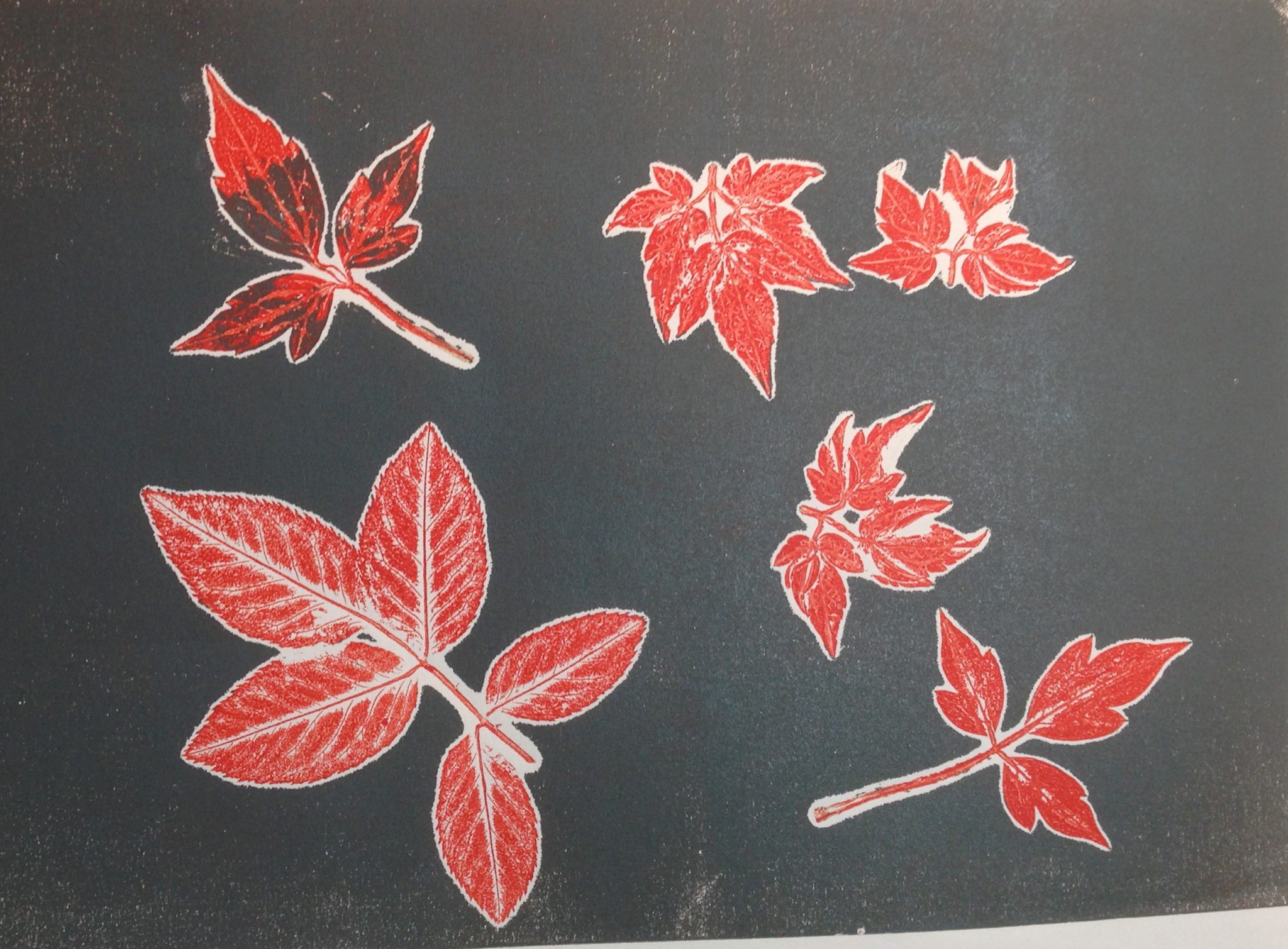 Teresa Ranson Artist Printmaker