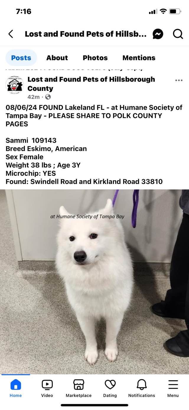 Sharing🙏🏻🤞🙏🏻🤞 Edgewood Dr, Lakeland 33803 Florida