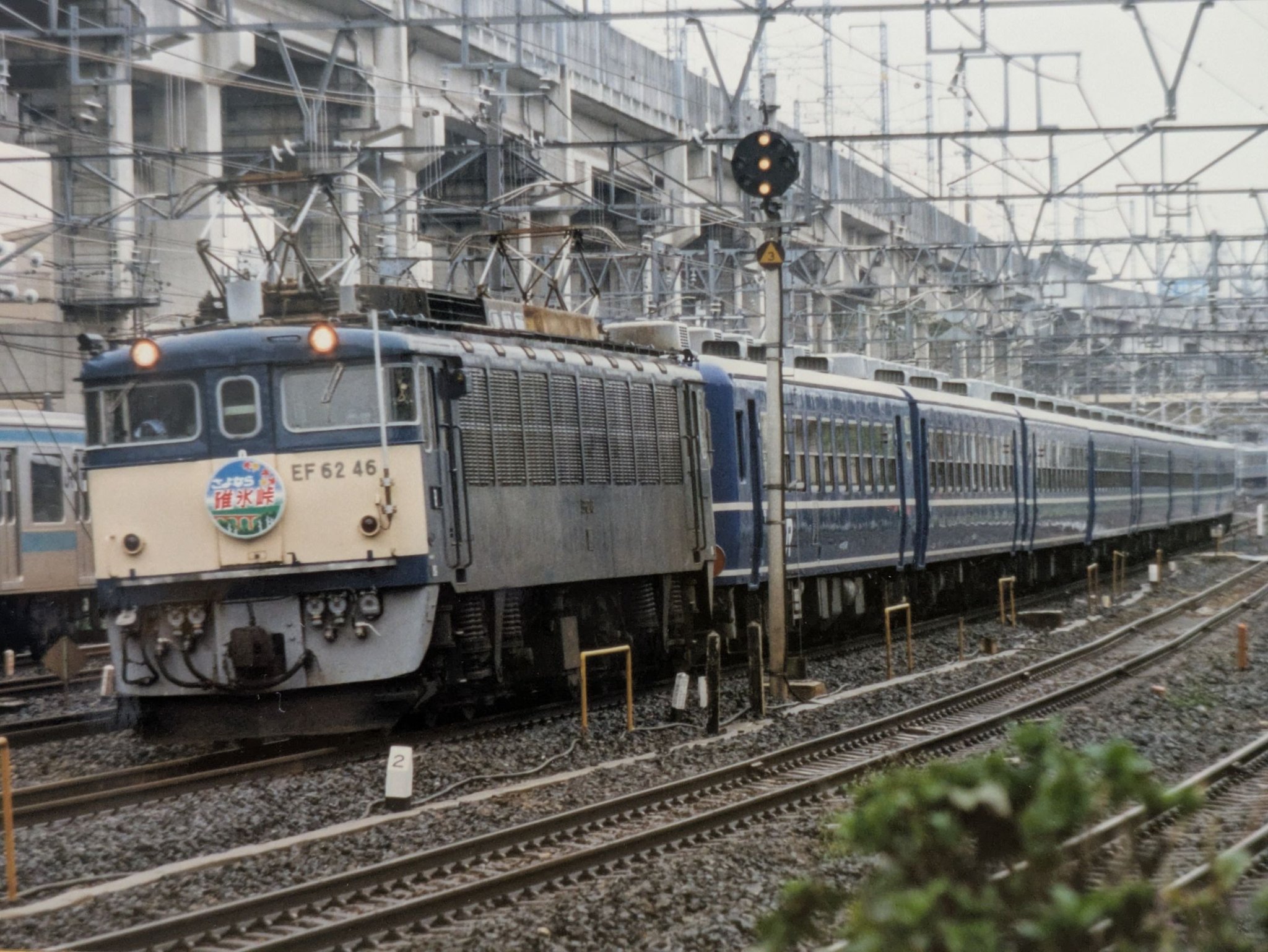そよかぜ様 そよかぜステップ(DZ-SS18/021R) | TDR | ドラゴンスター