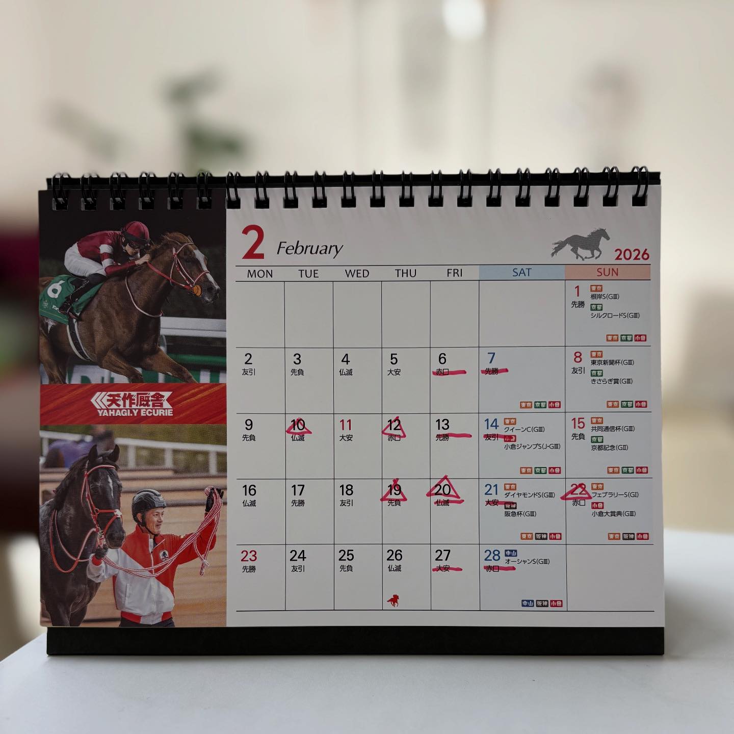 矢作厩舎　2026年　卓上　ポスター　2個セット　競馬　貴重な今年のカレンダー‼︎ 2月の予定 2026年始まったと思ったら もう1月28日早過ぎる 2月の予定を