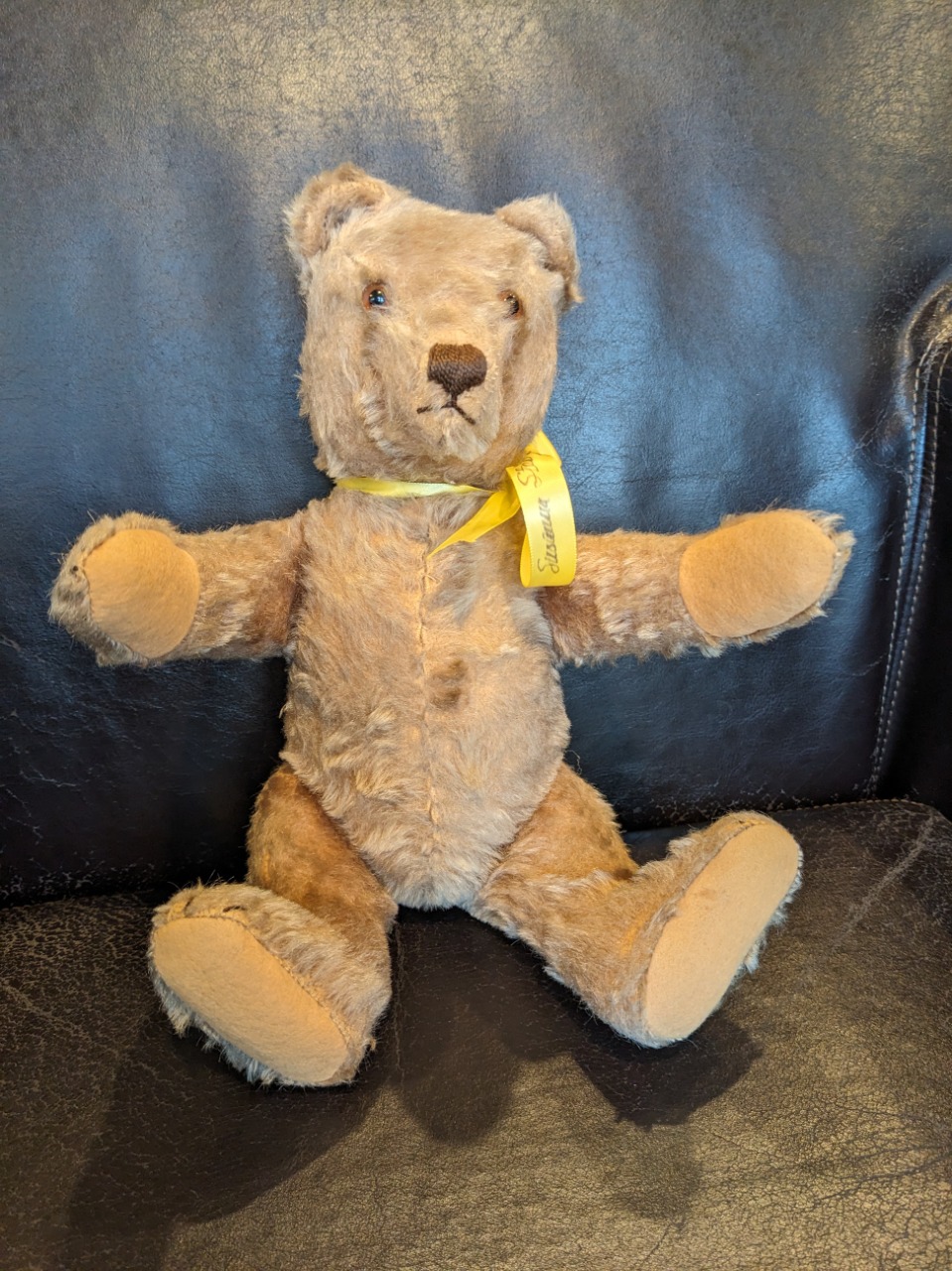 National geographic teddy unisex szS, 120k