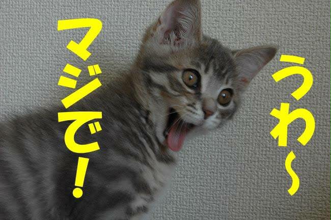 Suzuki Koji - Suzuki Koji added a new photo.