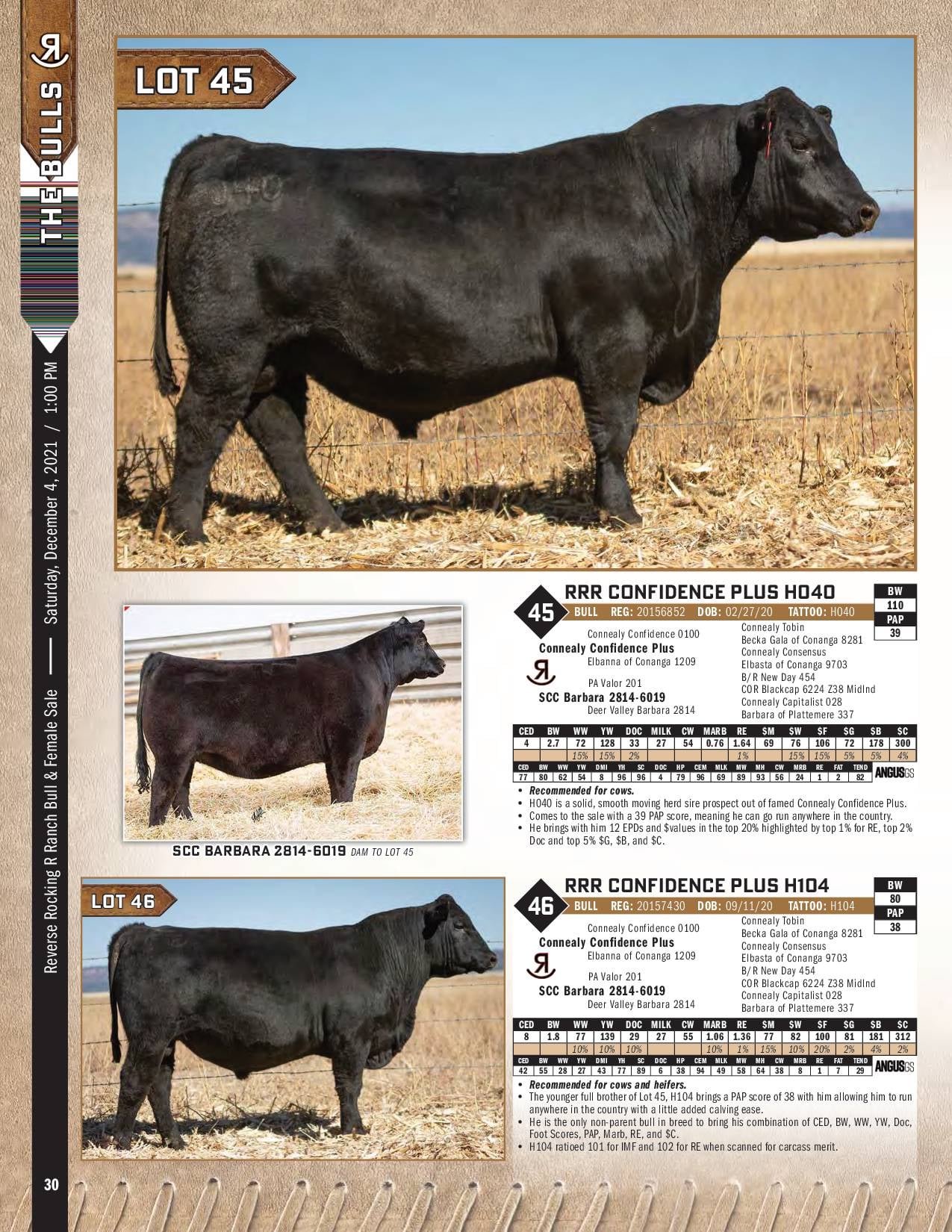 Our catalogs are in the mail and... - Reverse Rocking R Ranch | Facebook
