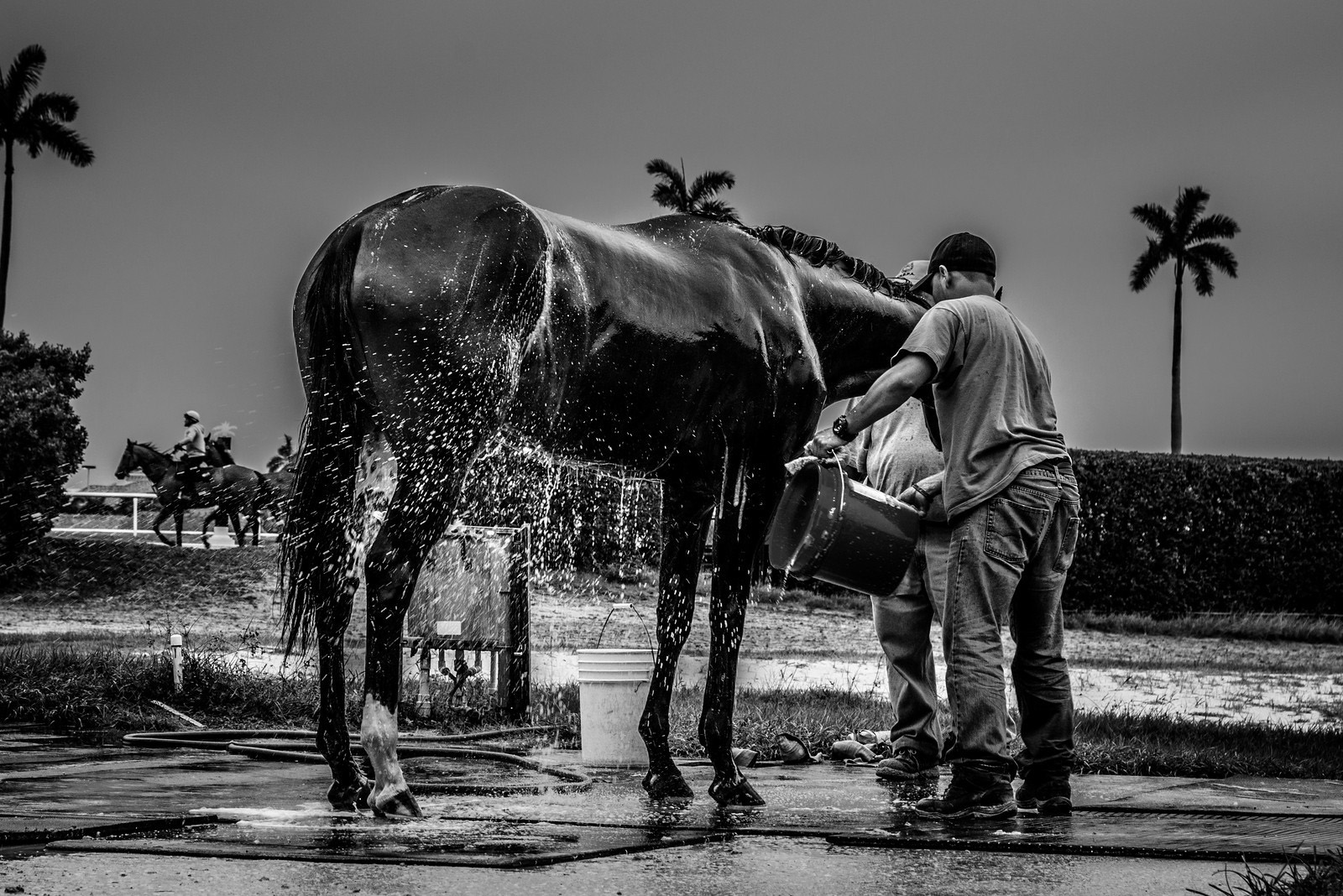 Broward - A dry place to ride your #horse! If things get a little soggy ...