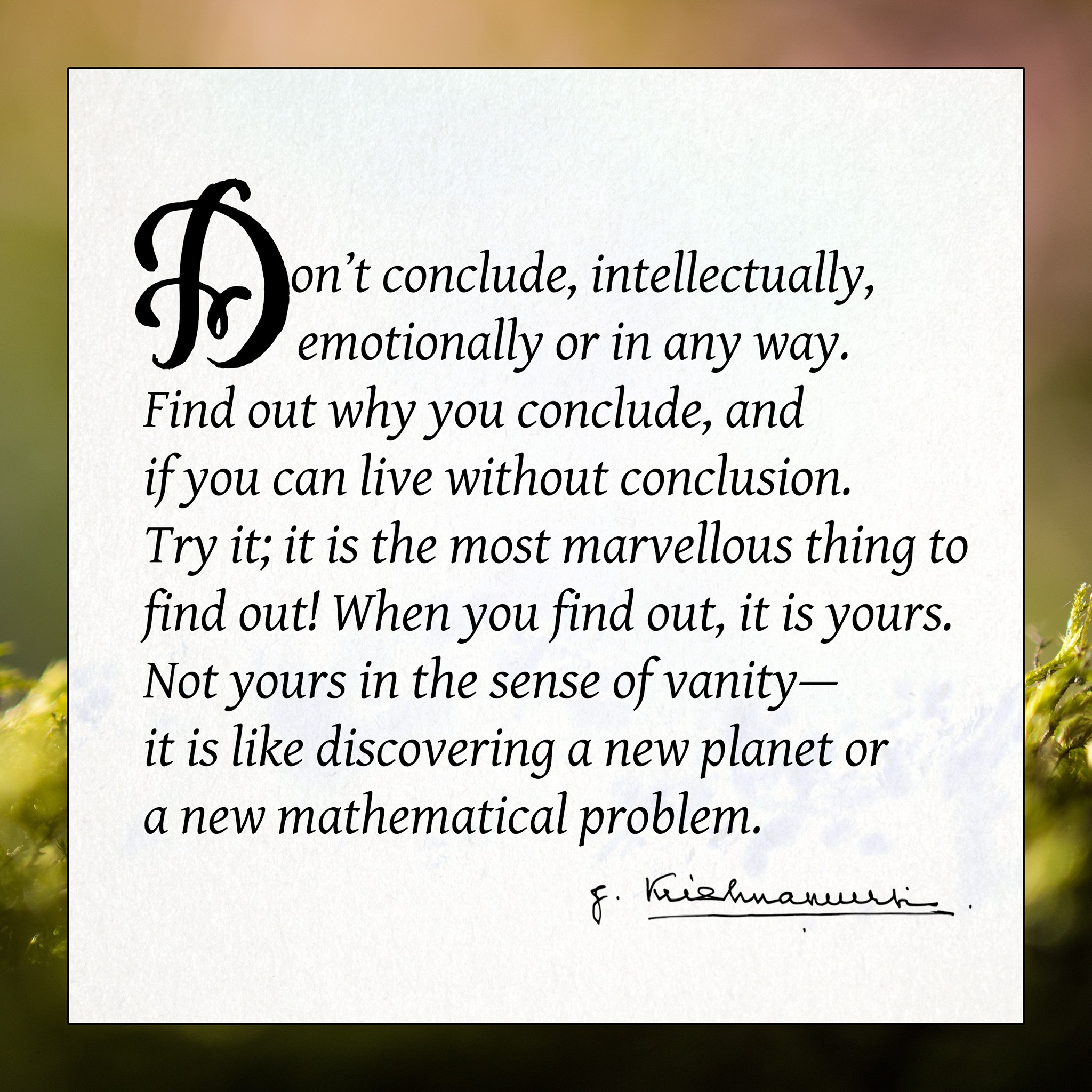 Don T Conclude Krishnamurti Foundation Trust Facebook