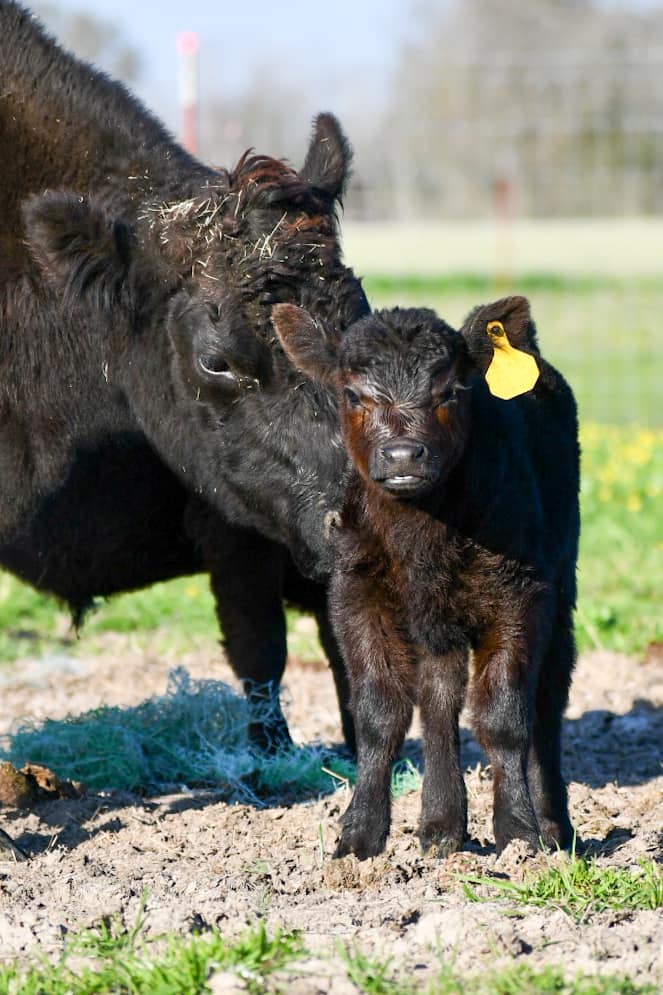 Toepfer Farms LLC | Richard LA