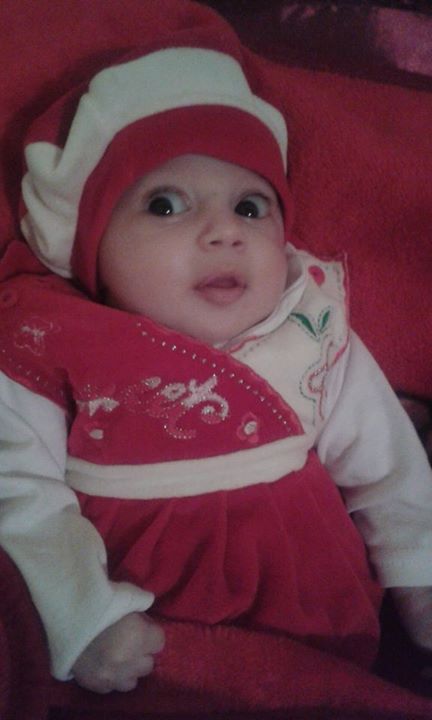 Rabah Amir