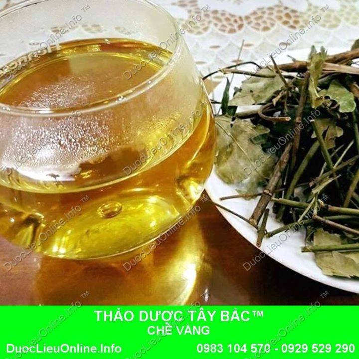 Hình Ảnh Lá Chè Vằng added a new photo. - Hình Ảnh Lá Chè Vằng