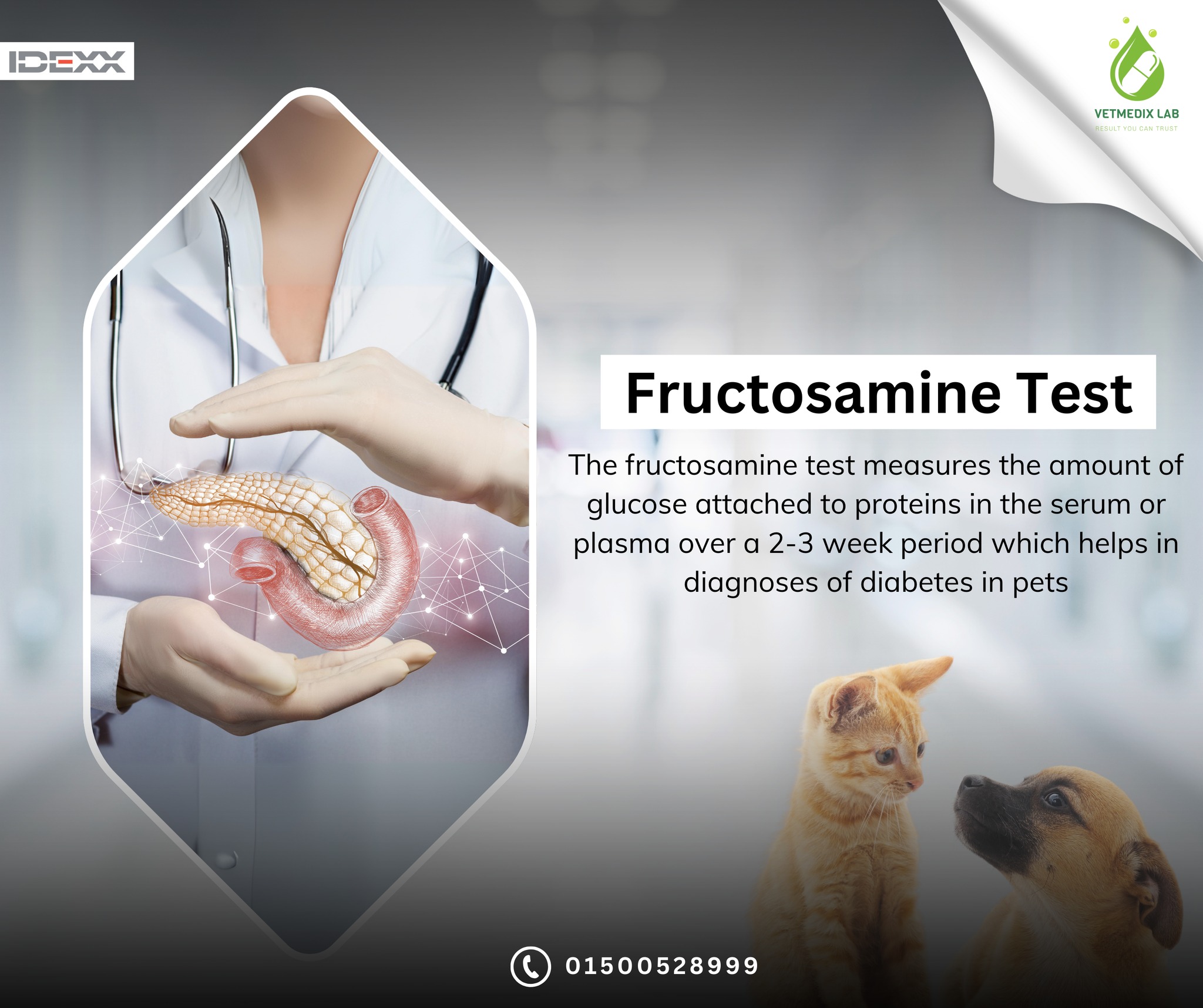 Vetmedix Lab - Fructosamine For Diagnosis Of Diabetes... | Facebook