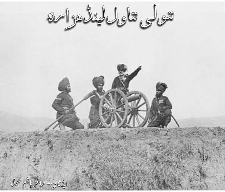 tanoli-brothers