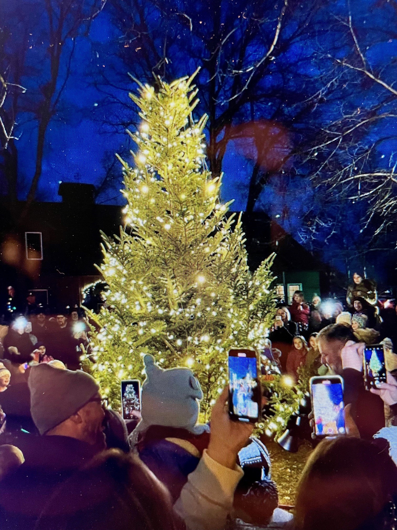 Krueger's Christmas Tree Farm | Lake Elmo MN