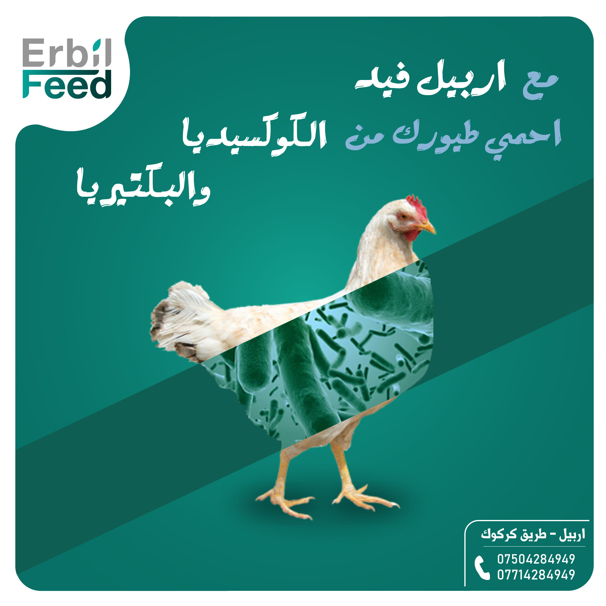 تؤدي السلامة... - أربيل فيد لصناعة الأعلاف - Erbil Feed | Facebook