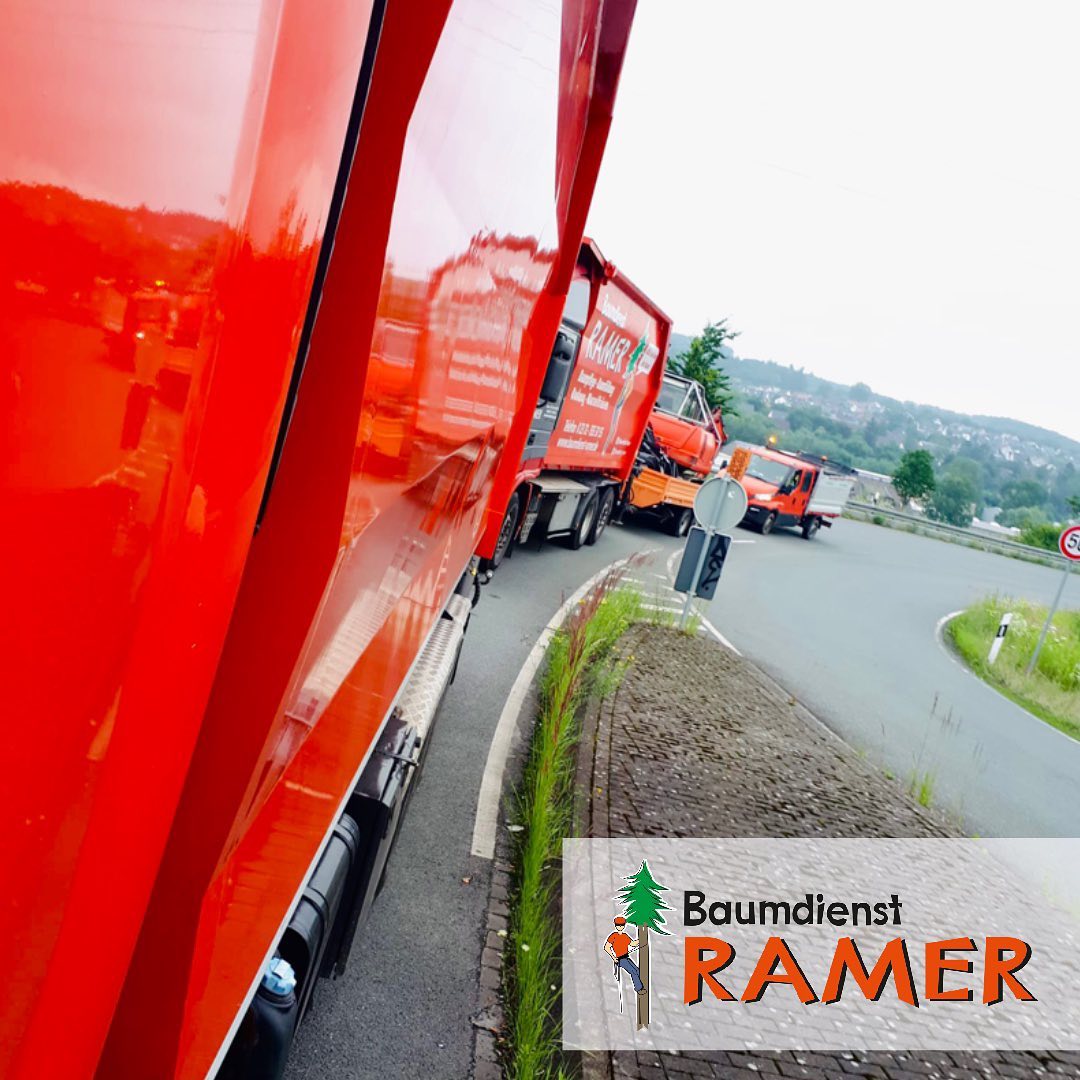 Baumdienst Ramer added a new photo. - Baumdienst Ramer