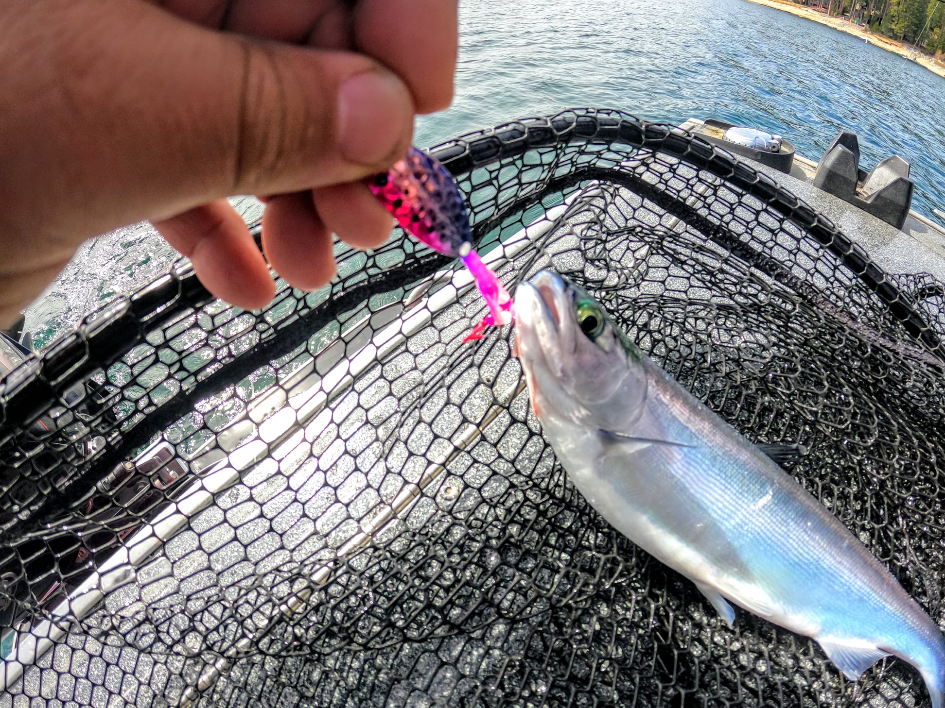 discount st croix rods St. Seage Surf SES120HMF2 Spinning Rod Accessories - ADIDAS APWR Croix rod features a Color:FR6 subcategory:Soft Bait