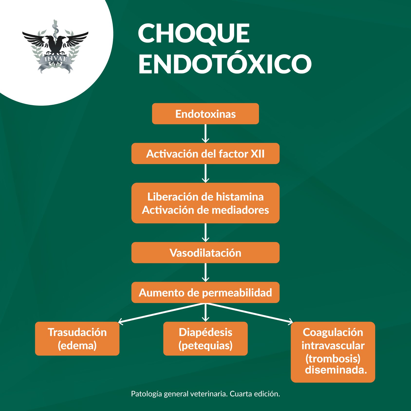 INVAE - El término endotoxemia se refiere a la presencia de endotoxinas ...