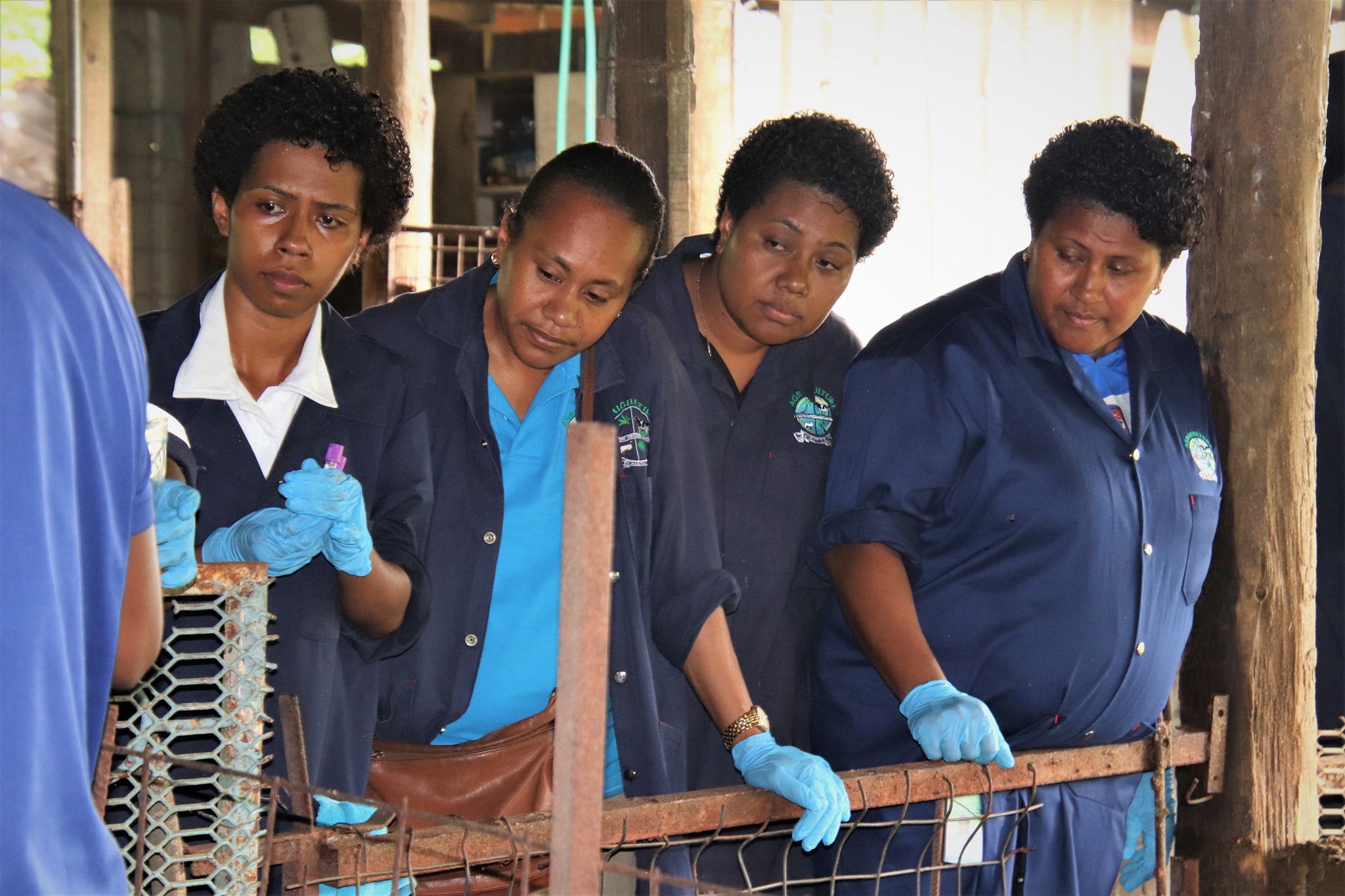 With African Swine... - Pacific Paravet Training Project