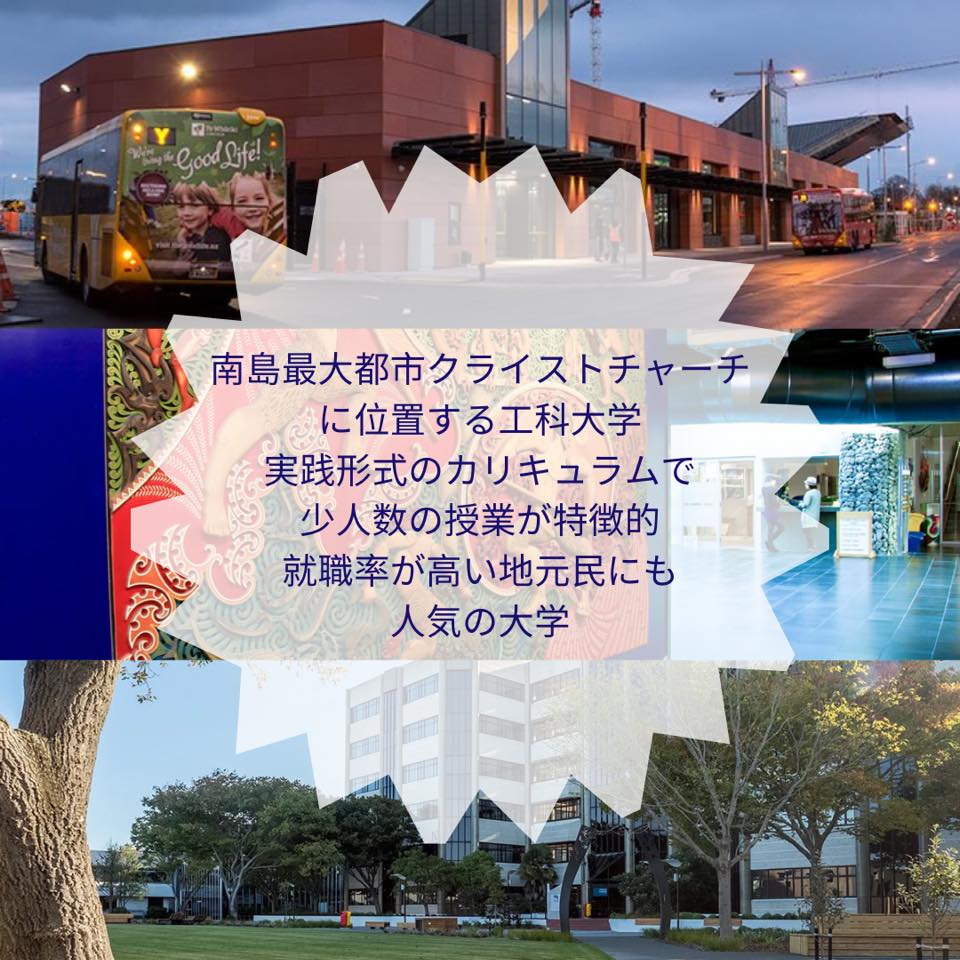 ニュージーランドでitの専門学校 Diploma に通う Life Is Peppery