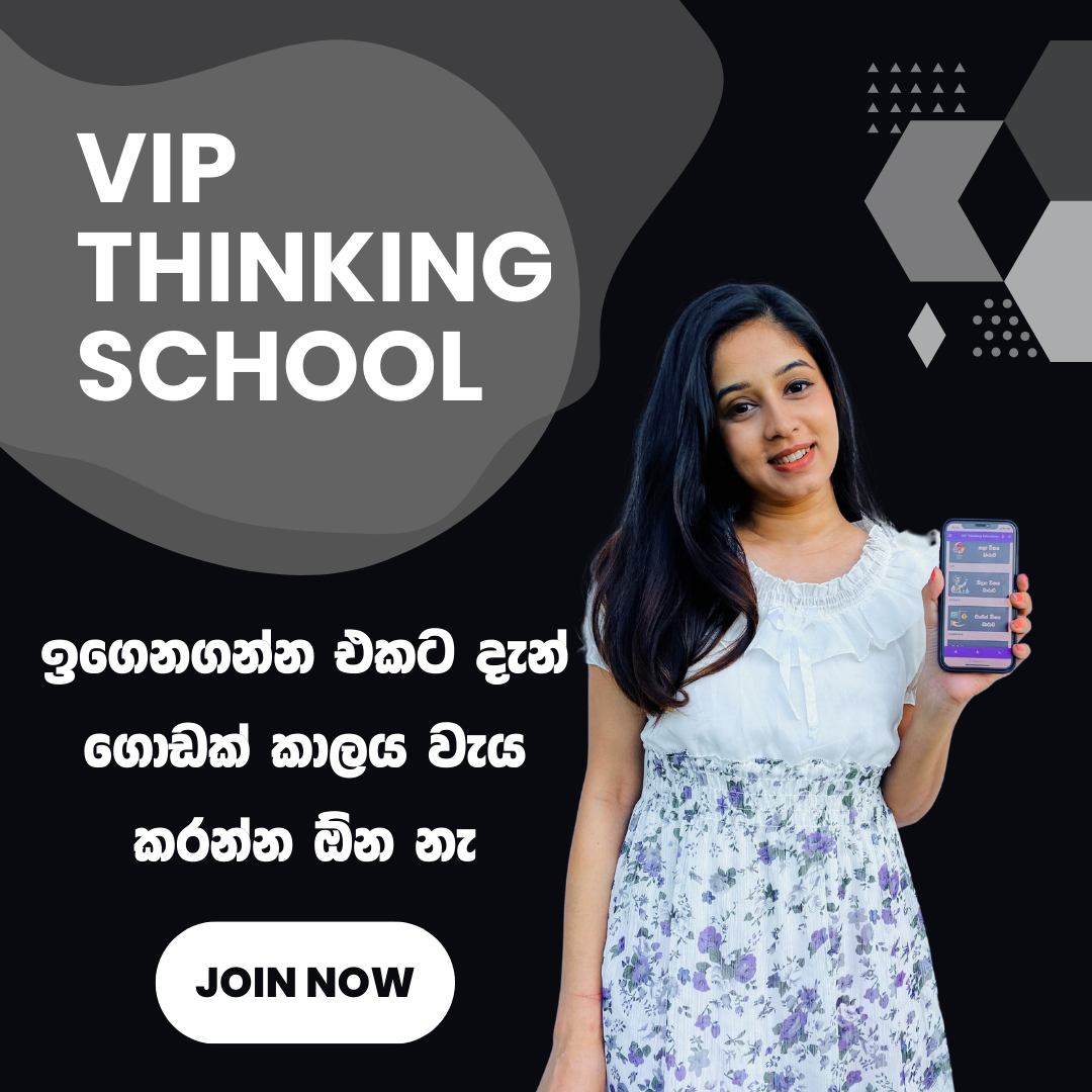 VIP Thinking School