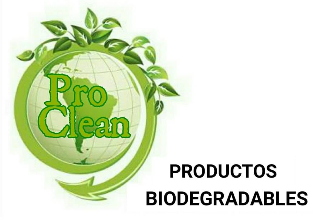 Pro Clean | Playa del Carmen