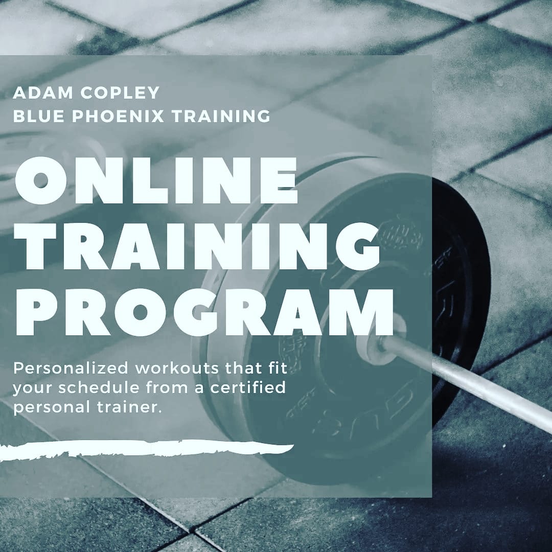 Blue Phoenix Training