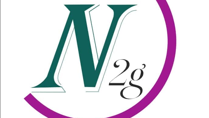 N2G Consulting & Multiservices