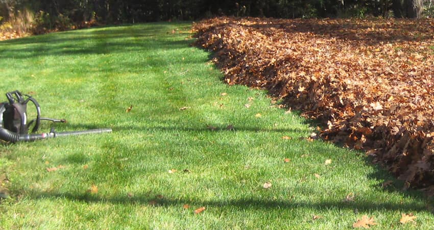 Slimp’s Lawn Care and Landscaping | Decatur TX