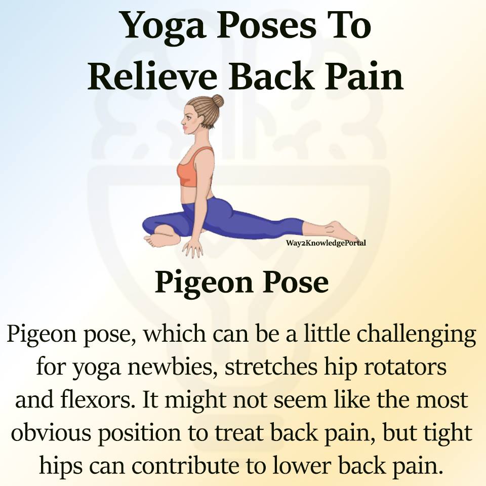 Yoga Poses to Relieve Back Pain - Knowledge Portal  Facebook