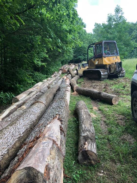 Yoder Logging | Columbia KY